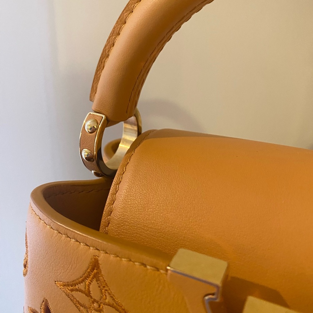 Louis Vuitton limited edition Capuchin Mini Tan Handbag. Microchipped - Picture 4 of 9